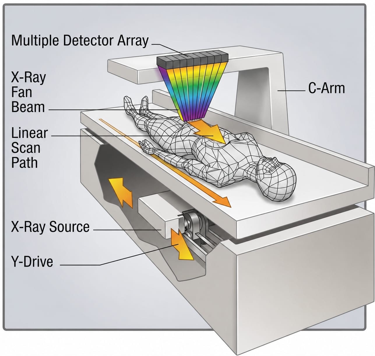Hologic Discovery W Bone Densitometer